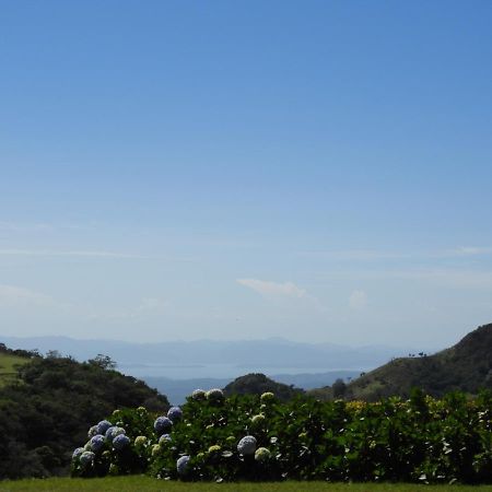 Campo Azul #3 - الجبل الأخضر المظهر الخارجي الصورة