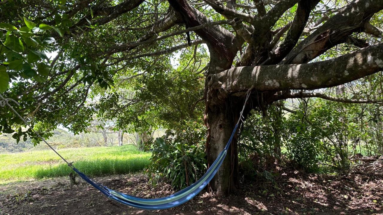 Campo Azul #3 - الجبل الأخضر المظهر الخارجي الصورة